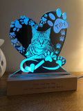Cat Memorial Lamp