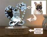 Pet Memorial Lamp - Personalised Gift Studio