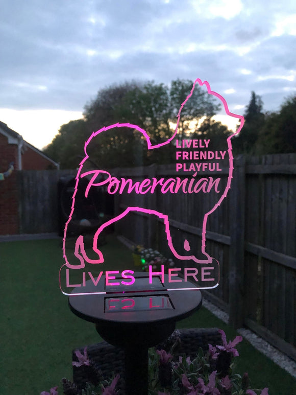 Pomeranian Solar Powered Garden Sign - Personalised Gift Studio